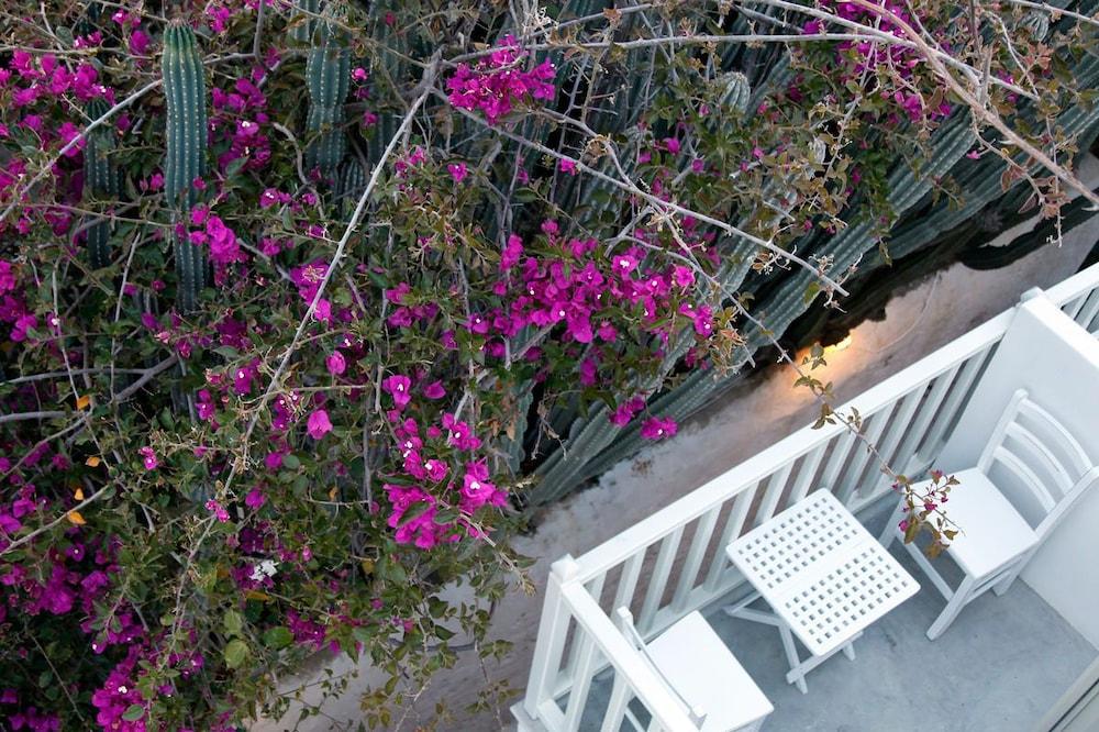 Fresh Boutique Hotel Mykonos Town Экстерьер фото