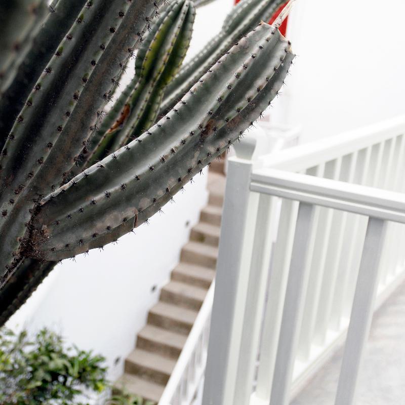 Fresh Boutique Hotel Mykonos Town Экстерьер фото